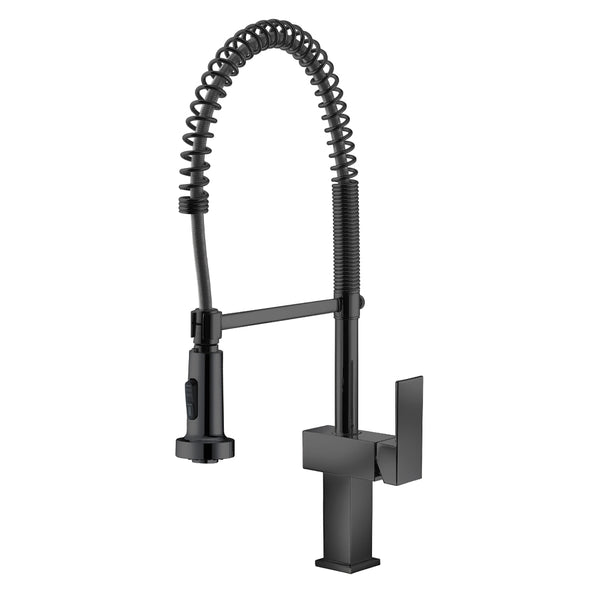 Matte Black Kitchen Faucet (Dual Spray)