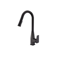 Matte Black Pull Out Kitchen Faucet (Dual Spray)
