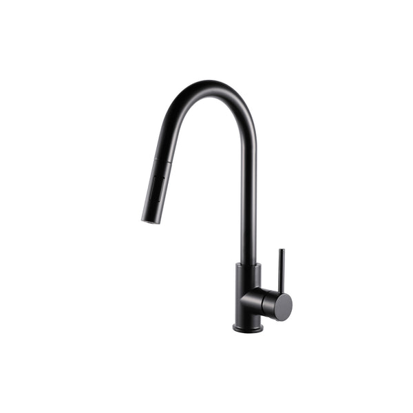 Matte Black Pull Out Kitchen Faucet & Dual Spray