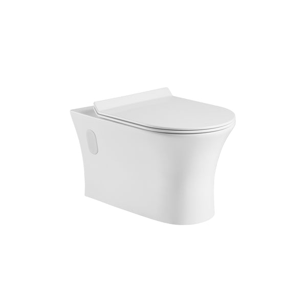 Wall mounted, D-shape, dual-flush toilet