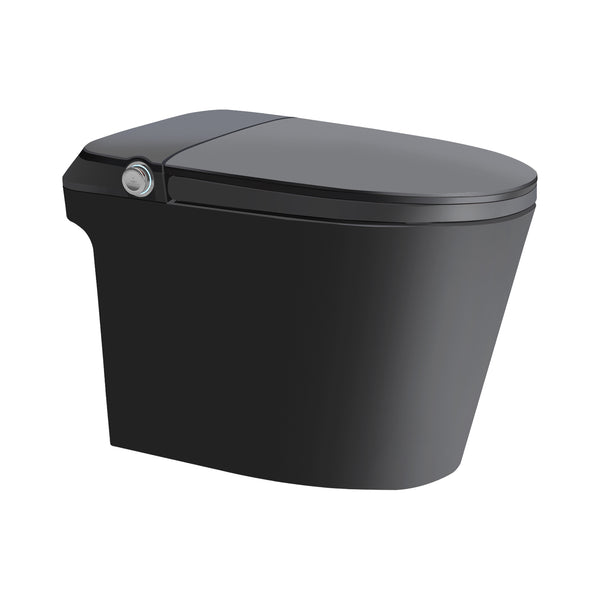 Tiffany-bk Smart Toilet in Matte Black