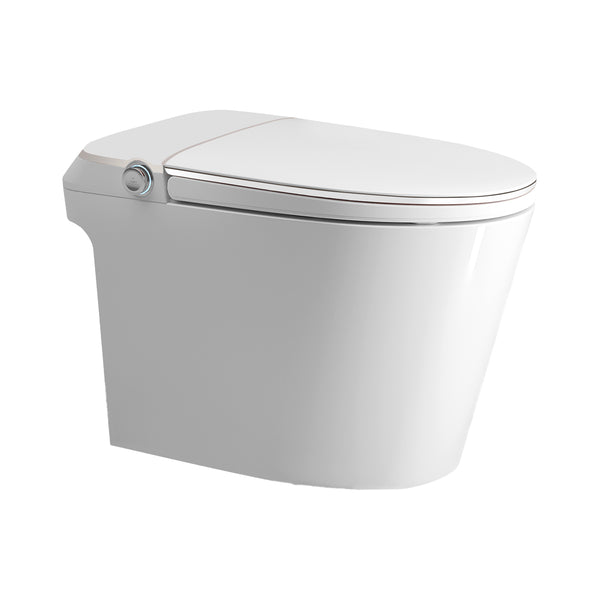 Tiffany-MW Smart Toilet in Matt White