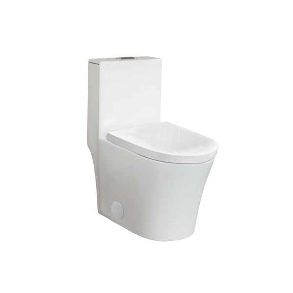 One-piece, elongated, dual-flush toilet