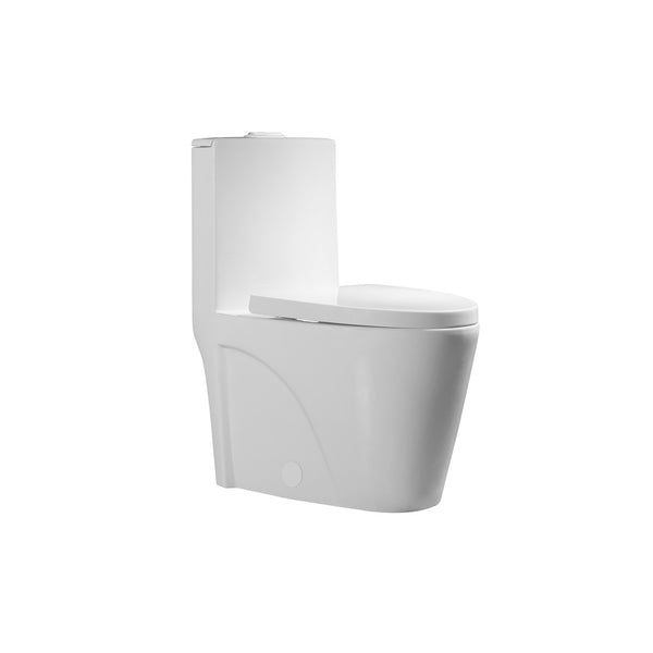 Matte white, one-piece, elongated, dual-flush toilet