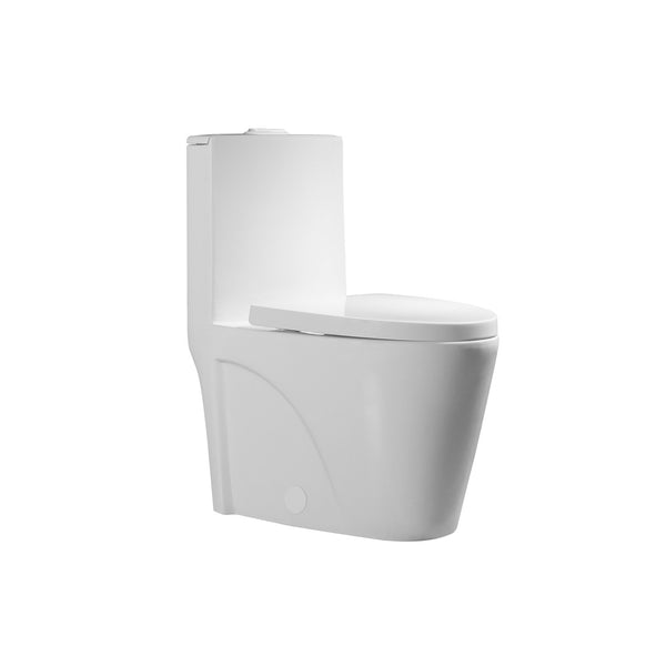 Matte white, one-piece, elongated, dual-flush toilet