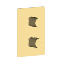 2-Function Trim Kit in Brushed Brass Finish