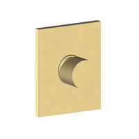 Trim kit in Brushed brass (Gold) finish